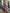 ELAGIA 3 piece women's suit - styled purple midi dress with blazer and vest, professional business look