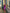 ELAGIA purple puffed sleeve midi dress front view - 3 piece women's suit purple business suit women style