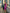ELAGIA purple puffed sleeve midi dress side angle - 3 piece women's suit purple business suit women detail