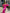 ELAGIA Crimson Puffed Sleeve Midi Dress full length view showcasing 3 piece women's suit proportions and hemline
