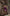 ELAGIA purple satin slip dress full length styling shot - modern 3 piece women's suit alternative look