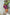 ELAGIA purple business suit women dress worn with accessories - complete formal styling inspiration