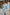 ELAGIA sky-blue midi dress styled look featuring satin finish and purple business suit women professional aesthetic