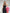 ELAGIA women's black suit set - cross-neck jumpsuit styled for office wear with professional styling