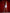 ELAGIA Grey Satin Strapless Mini Dress - full length view showcasing sophisticated grey satin finish