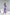 ELAGIA lavender one-shoulder cut-out midi dress styled detail emphasizing modern cutout construction