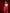 ELAGIA crimson high waist palazzo pants movement shot - flowy 3 piece women's suit trouser option