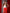 ELAGIA red belted wide-leg suit 2-piece front view - professional purple business suit women's blazer and pants