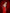 ELAGIA red high waist fitted palazzo pants waistband close-up - purple business suit women professional design