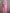 ELAGIA Crimson Shawl Lapel Suit 2-Piece lifestyle shot model wearing complete 3 piece women's suit