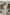 ELAGIA beige long sleeve midi dress front view - 3 piece women's suit style business professional outfit