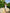 ELAGIA white sleeveless top and midi skirt coordinated outfit flat lay - white suit for women