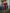 ELAGIA Bordeaux Puff-Sleeve Midi Dress worn by model - purple business suit women office-ready styling