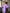 ELAGIA Lavender Puff-Sleeve Midi Dress - styled look featuring 3 piece women's suit design elements