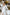 White V-neck Buttoned Puff-Sleeve Midi Dress - styled look | ELAGIA