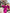 ELAGIA fuchsia puffed sleeve midi prom dress styled look - 3 piece women's suit purple business suit women