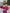 ELAGIA fuchsia puffed sleeve midi prom dress full length - 3 piece women's suit purple business suit women