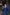 ELAGIA blue backless puff sleeve midi dress neckline close-up - purple business suit women contemporary cut