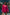 ELAGIA Crimson Casual Short Suit 2-Piece back view - red tailored blazer and shorts, purple business suit women