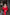 ELAGIA red backless puff sleeve midi dress full length - 3 piece women's suit purple business suit women