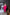 ELAGIA Crimson Backless Puff Sleeve Midi Dress full body shot showing complete silhouette and fit