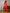 ELAGIA 3 piece women's suit lifestyle shot showing versatile red blazer styling for work attire