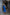 ELAGIA blue backless puff sleeve midi dress styled look full body - 3 piece women's suit alternative