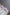 ELAGIA pink suit lifestyle shot showing versatile wear - 3 piece women's suit modern business attire