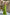 ELAGIA green bow top and pants styled outfit full length view - 3 piece women's suit aesthetic