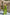 ELAGIA green wide-leg pants close-up view - part of 2-piece women's business suit set