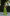 ELAGIA green 2-piece set full outfit - model wearing purple business suit women 3 piece women's suit complete look