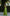 ELAGIA green bow top and wide-leg pants 2-piece set front view - women's business suit outfit