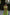 ELAGIA green bow top and wide-leg pants 2-piece set back view - 3 piece women's suit style