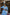 ELAGIA sky-blue puff-sleeve wrap midi dress back view showing wrap tie detail - purple business suit women style