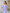 ELAGIA lavender satin puff-sleeve midi dress styled on model - purple business suit women's look