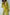 ELAGIA green crop jacket suit 2-piece styled look - complete 3 piece women's suit outfit coordination