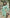 ELAGIA Green Wrap Long Sleeve Midi Dress back angle showing purple business suit women style tailoring in green