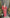 Red Backless Puff Sleeve Midi Dress