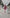 ELAGIA Crimson One-Shoulder Mini Dress front view - elegant red asymmetrical neckline design for women