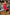 ELAGIA red satin strapless dress fabric texture close-up - 3 piece women's suit purple business suit women