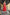ELAGIA coral sleeveless corseted midi dress close-up of corseted waist - purple business suit women style