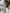 ELAGIA Dusty Pink Silk Wrap Maxi Dress texture detail emphasizing purple business suit women quality in 3 piece women's...