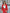 Three-quarter view of ELAGIA red single-breasted suit showcasing blazer structure and trouser fit
