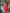 ELAGIA red satin strapless mini dress on model showing how garment fits and moves
