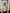 ELAGIA Beige Puff-Sleeve Turtleneck Maxi Dress back view - 3 piece women's suit style in beige maxi dress