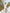 ELAGIA beige puff sleeve belted maxi dress - side angle detail of 3 piece women's suit inspired design