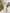 ELAGIA beige puff sleeve belted maxi dress - fabric and construction detail view, professional styling