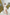 ELAGIA beige belted maxi dress styled look with accessories 3 piece women's suit professional aesthetic