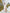 ELAGIA beige puff sleeve belted maxi dress - full length styled shot, 3 piece women's suit aesthetic