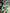 ELAGIA green maxi dress styled look with accessories - purple business suit women meets evening wear aesthetic